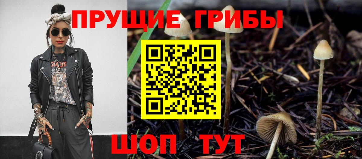 Псилоцибиновые грибы Psilocybe  Вход с VPN  Псилоцибиновые грибы мицелий  Чехов 